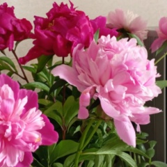 Ирина Никитич, 01.05.1989, Калининград
