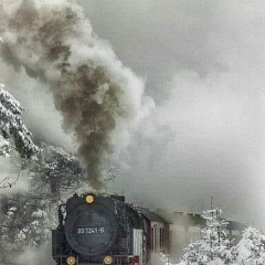 Гульнара Жаксыбаева, Тюмень