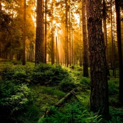 Лидия Егорова, Санкт-Петербург