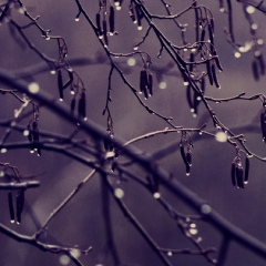 Маргарита Терновая, 24.02, Киев