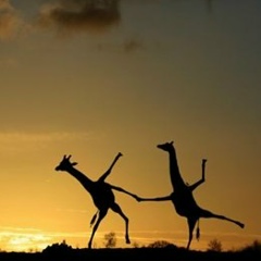 Ольга Неугодникова, 24.11.1988, Уральск