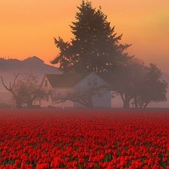 Клара Абдрасилова, 21.09.1985