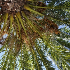 Артур Dons, 05.03.1979, Казань