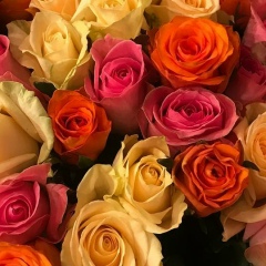 Валерия Иванушкина, London