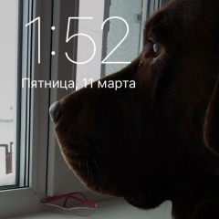 Дмитрий Калашников, 16.04.1991