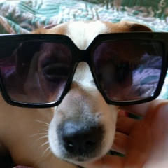 Юлия Сухова, 05.05, Санкт-Петербург