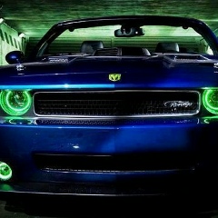 Павел Скородумов, 22.11