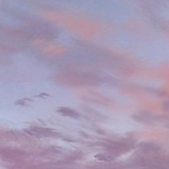 Антон Николаев, 23.02, Санкт-Петербург