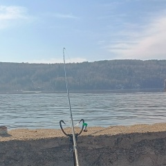 Александр Царегородцев, 11.04.1984, Йошкар-Ола