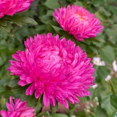 Виктория Козина, 07.09.1990, Межозерный