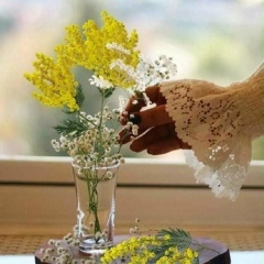 Елена Стефановская, 31.08