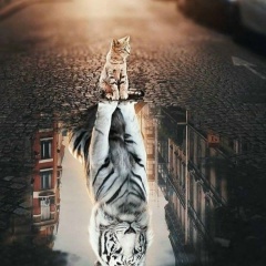 Светлана Калужина, 22.12, Санкт-Петербург