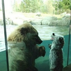 Dan Zyb, 01.01.1984, Набережные Челны