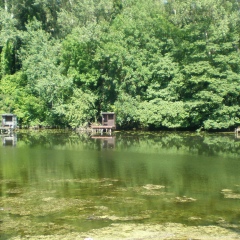 Ольга Савельева, 10.02