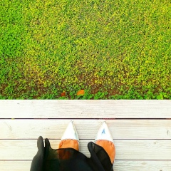 Машунька Дейнега, 17.01.1988, Днепр (Днепропетровск)