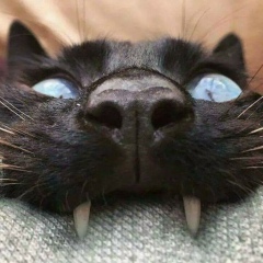 Галина Черенкова, 19.07.1979, Жуковский