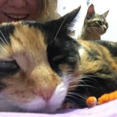 Nataliya Savchenko, 24.02, Бердянск