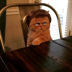 Aidar Aitkulov, Бишкек