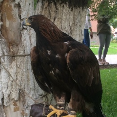 Арыстан Аширбеков, 02.01.1989, Астана