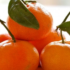 Вера Морозова, 18.04, Санкт-Петербург