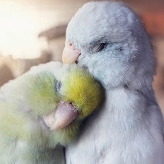 Олеся Клепикова, 07.06, Тольятти