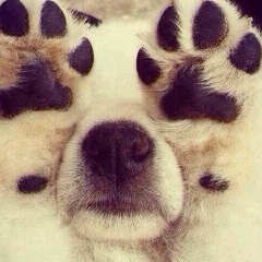 Алексей Соболев, 15.01, Нижний Новгород