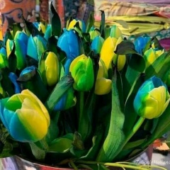 Валентина Старикова, 11.07.1988, Горское