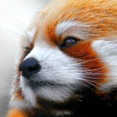 Серёга Фортис, 27.07.1982, Харьков