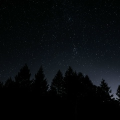 Алёна Никифорова, 17.03, Санкт-Петербург