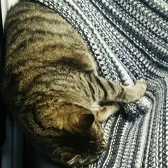 Дмитрий Грязон, 03.12.1984, Санкт-Петербург