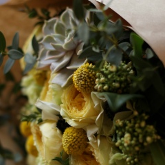 Анжелика Самсонова, 07.06.1987, Киев