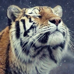 Михаил Иванов, 14.06.1993