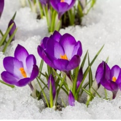 Виктория Проскурнина, 02.12, Санкт-Петербург