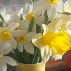 Наталья Чернышева, 13.05, Санкт-Петербург