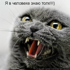 Jastin Beiber, 10.03.1991, Киев