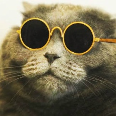 Димон , 08.08.1985, Москва