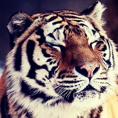 Kazbek Kabdrashev, Караганда