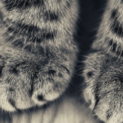 Эльмира Назмутдинова, 29.06.1989, Казань