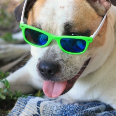 Сергей Маковенко, 11.02.1977, Киев