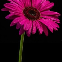 Лилия Чеферова, 08.04.1988, Измаил