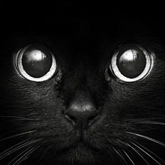 Ксения Ося, 01.04