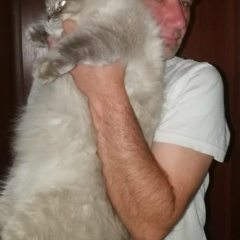 Евгений Васильев, 19.10.1984, Санкт-Петербург