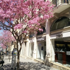 Азалия Бураканова, 28.04.1992, Уфа