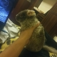 Рустам Абдульманов, 09.09.1965, Уфа