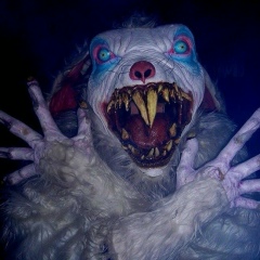 Константин Приходько, 27.05.1989, Ленинградская