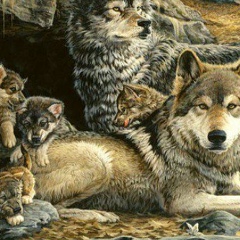 Жулдыз Таджимаганбетова, 05.04, Алматы