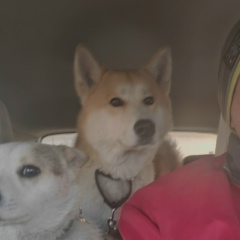 Евгений Якушев, 12.05.1984, Красноярск