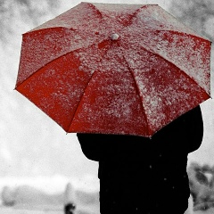 Владимир Ефлов, 13.11, Петрозаводск