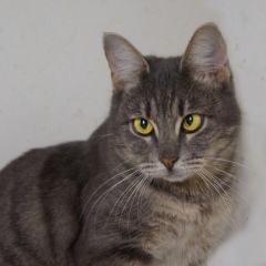 Жанна Воронова, 06.04, Москва