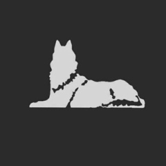 Adam Shededov, Грозный